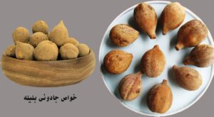 بلیله چیست؟